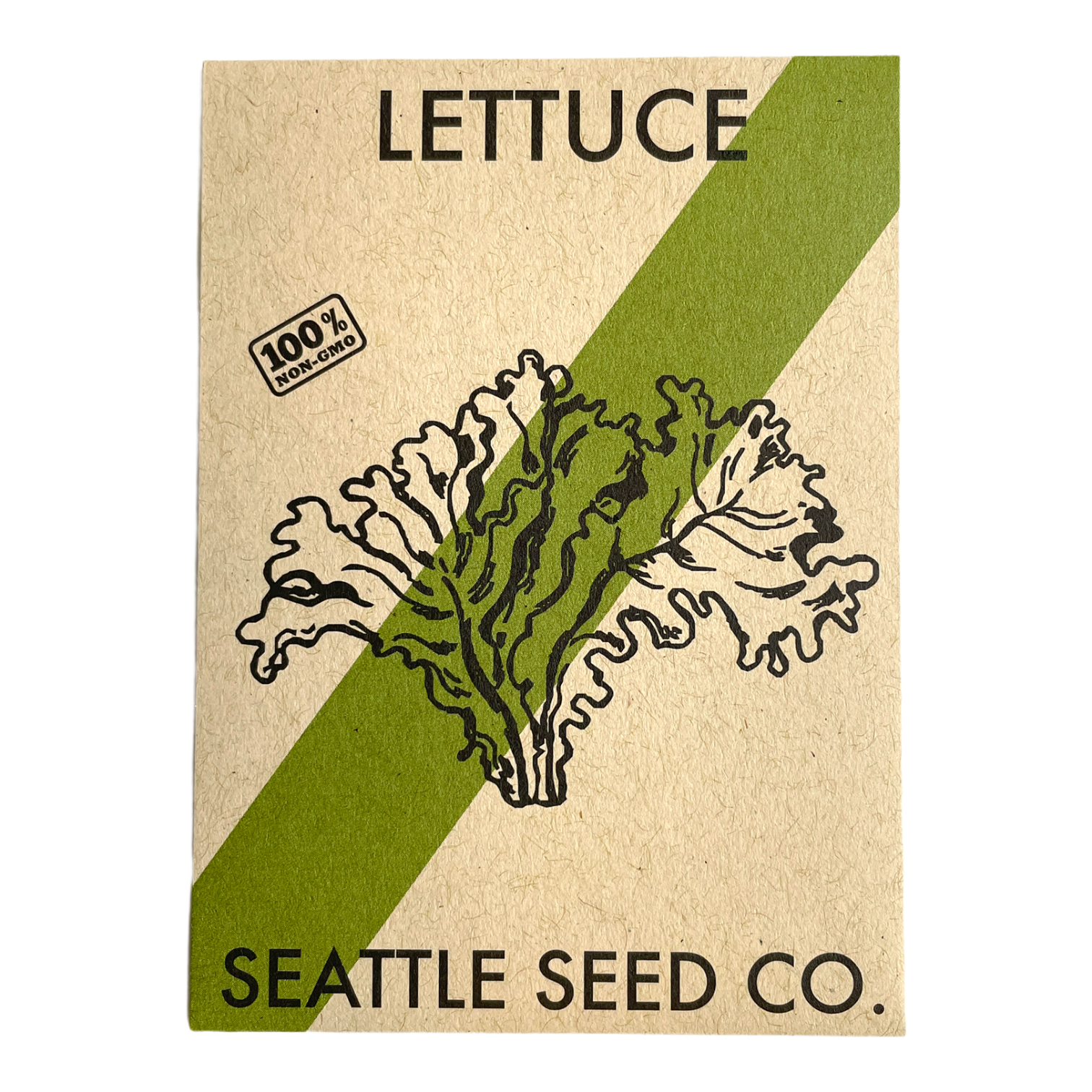 Mild Mesclun Mix Lettuce Seeds by Seattle Seed Company