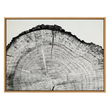 Sylvie Tree Rings BW Framed Canvas by kateandlaurel - product image 2 for Resin Society