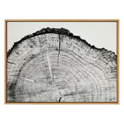 Sylvie Tree Rings BW Framed Canvas by kateandlaurel - product image 2 for Resin Society