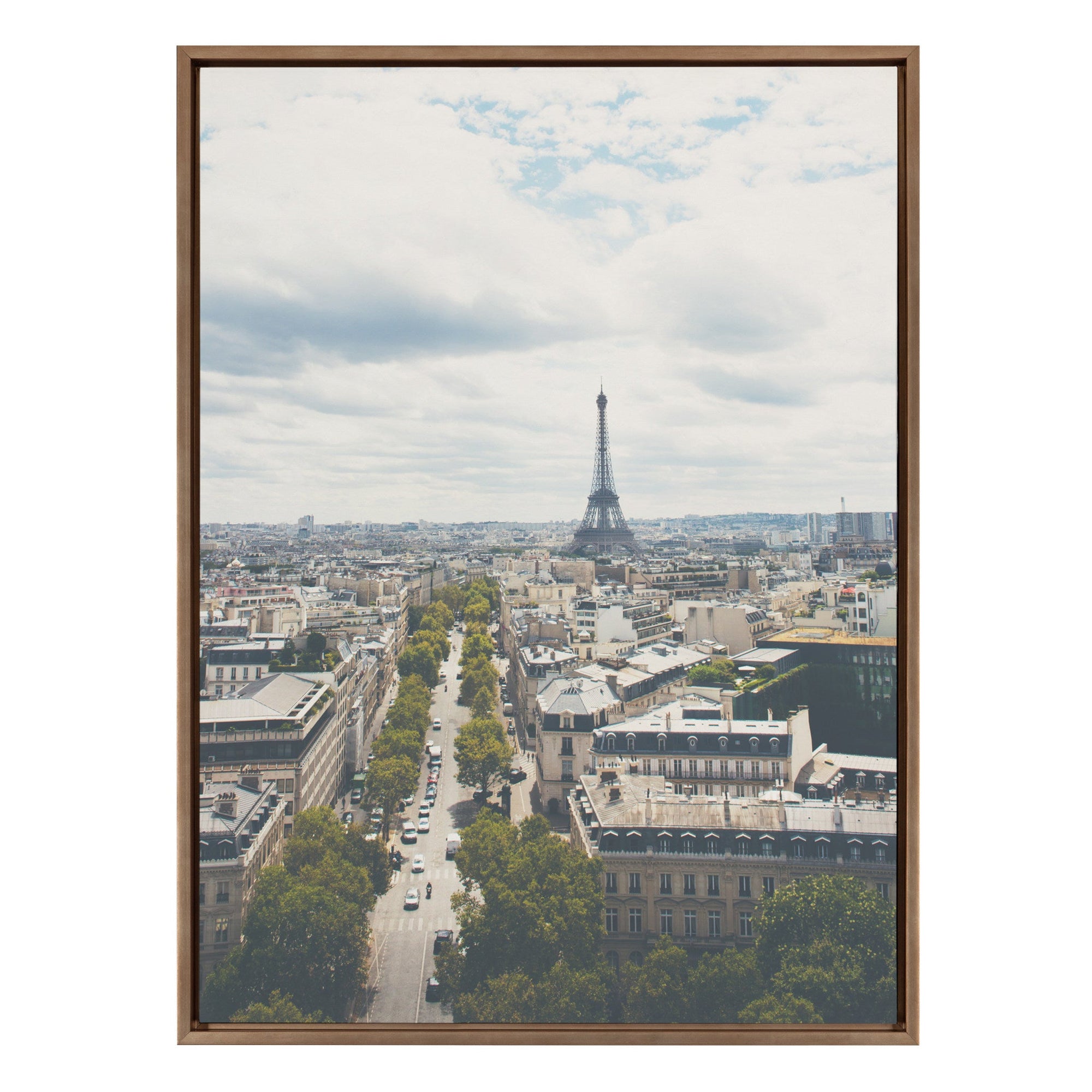 Sylvie France Framed Canvas by Laura Evans by kateandlaurel - main product image for Resin Society