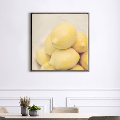 Sylvie Lemons Framed Canvas by kateandlaurel - product image 7 for Resin Society