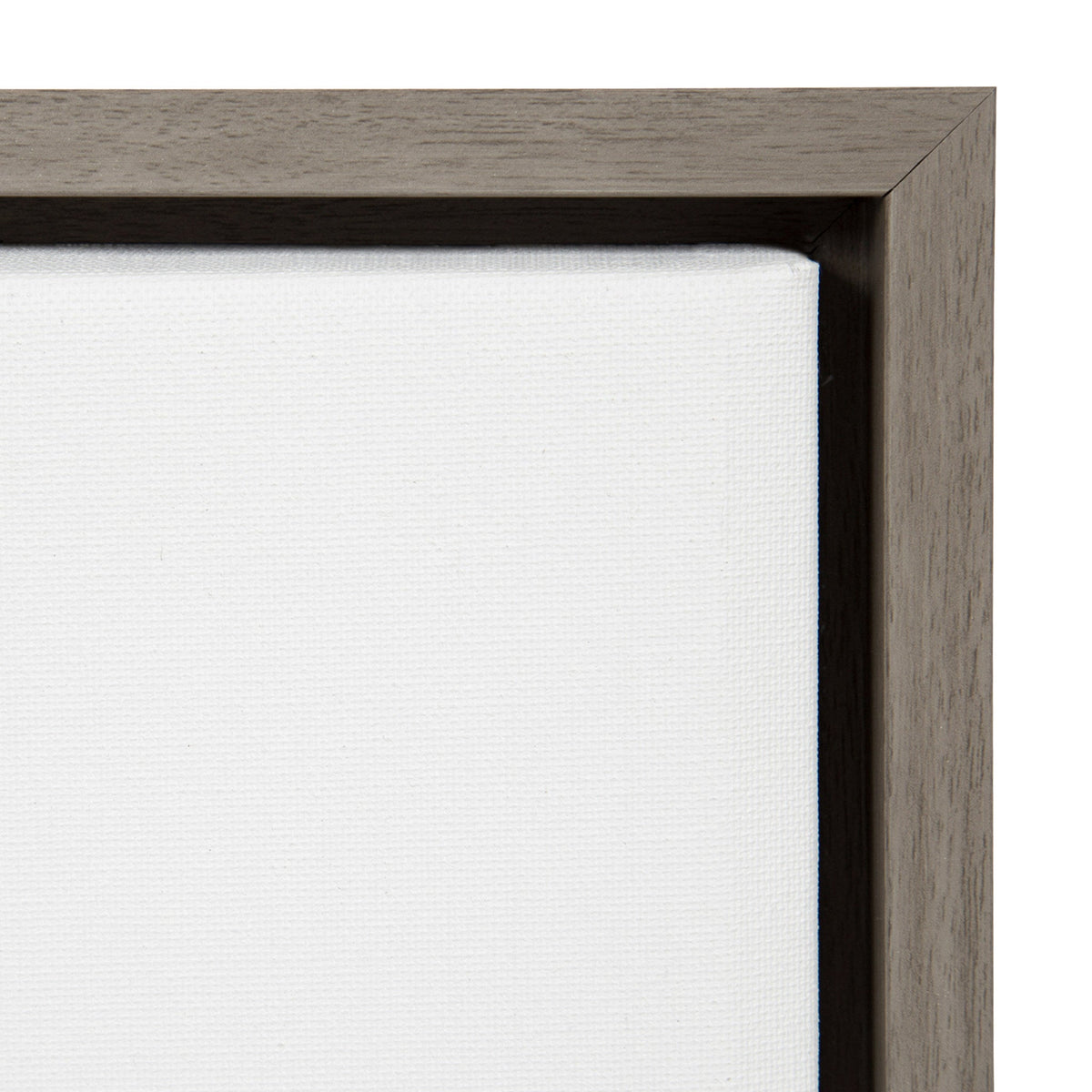 Sylvie Houseplants Framed Canvas by kateandlaurel - product image 3 for Resin Society