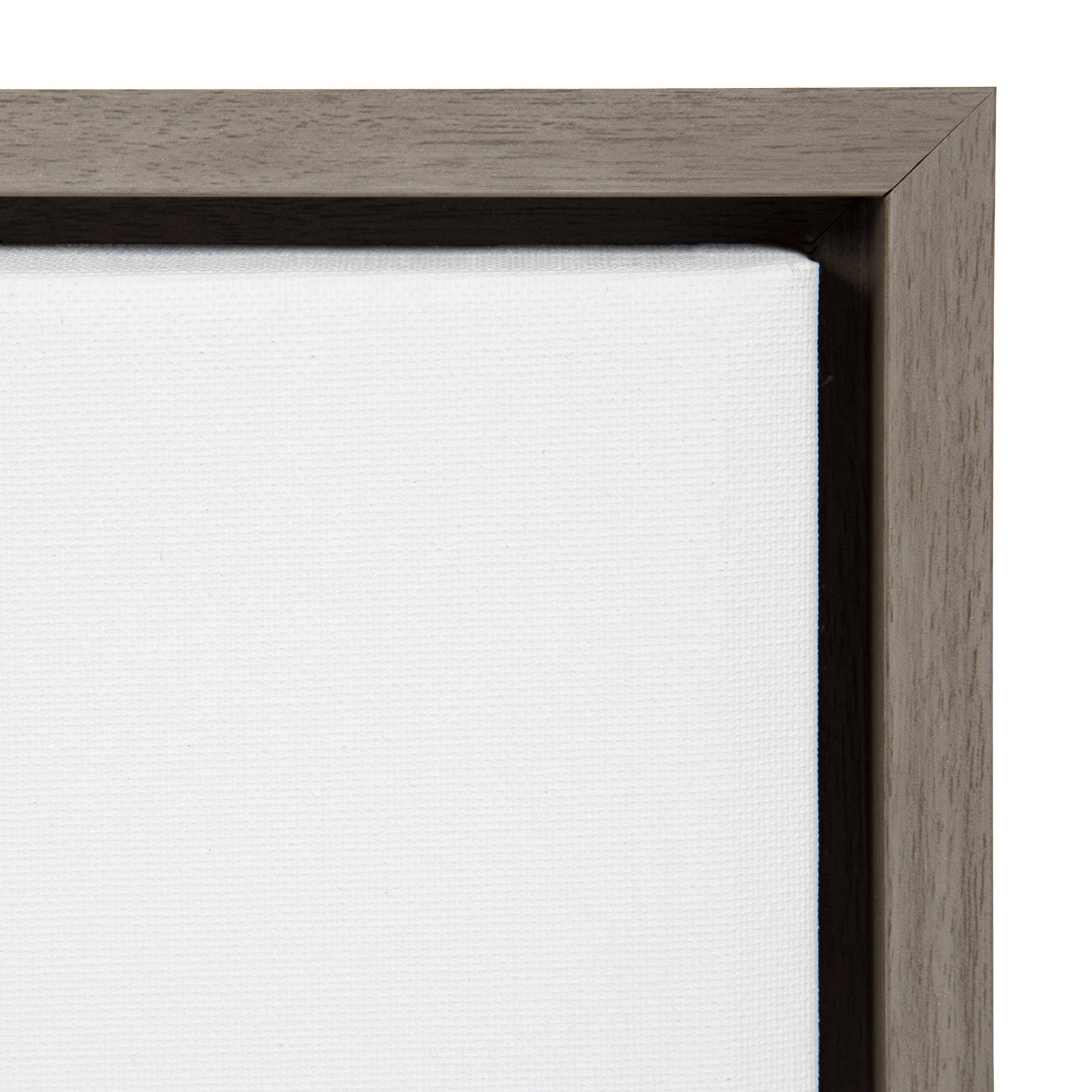 Sylvie Houseplants Framed Canvas by kateandlaurel - product image 3 for Resin Society