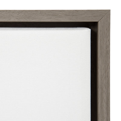 Sylvie Houseplants Framed Canvas by kateandlaurel - product image 3 for Resin Society