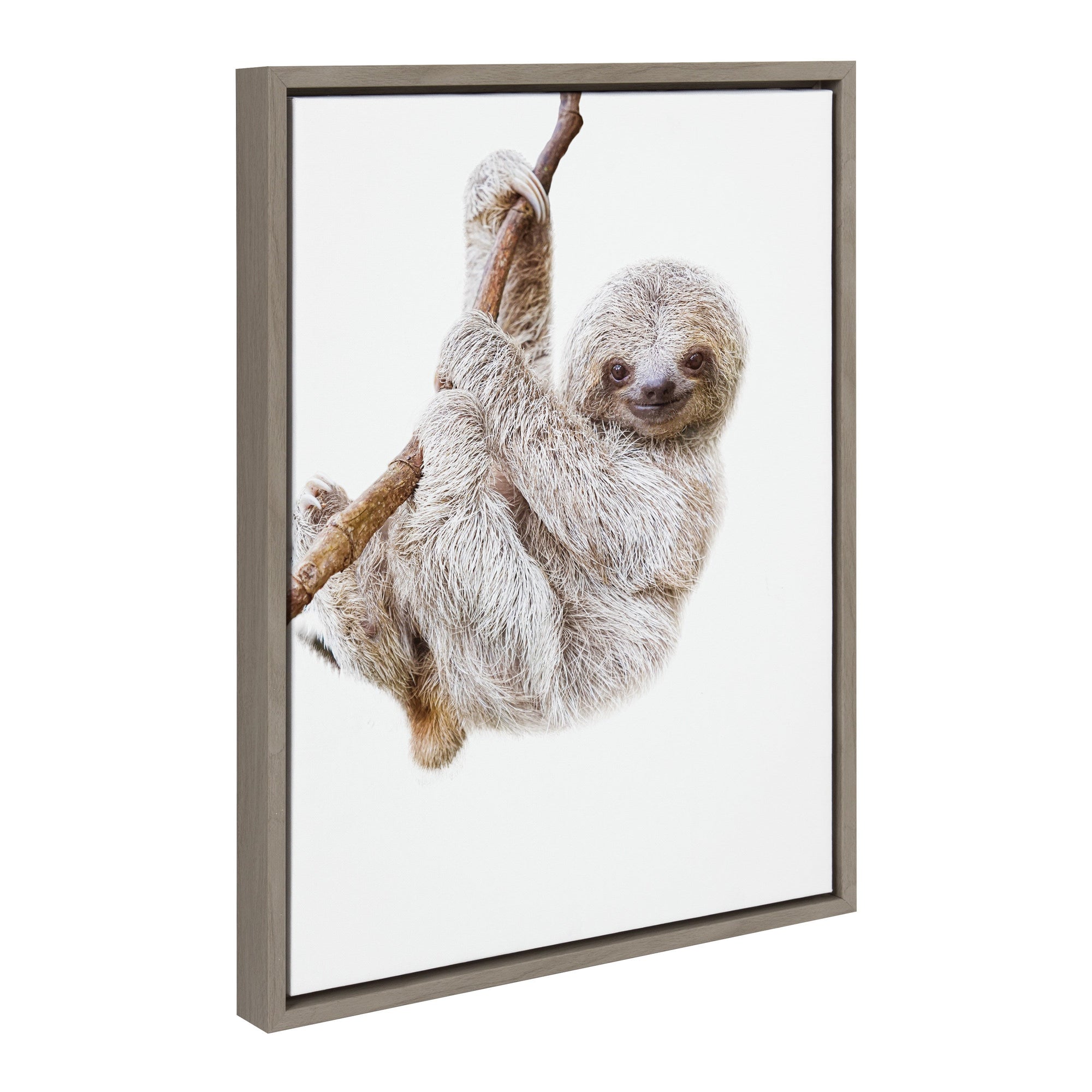 Framed floating canvas art featuring Sylvie Baby Sloth Hanging Around by Amy Peterson Art Studio