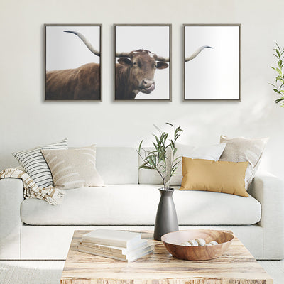 Sylvie Texas Longhorn Cow Lick 1 2 3 Framed Canvas by kateandlaurel - product image 6 for Resin Society