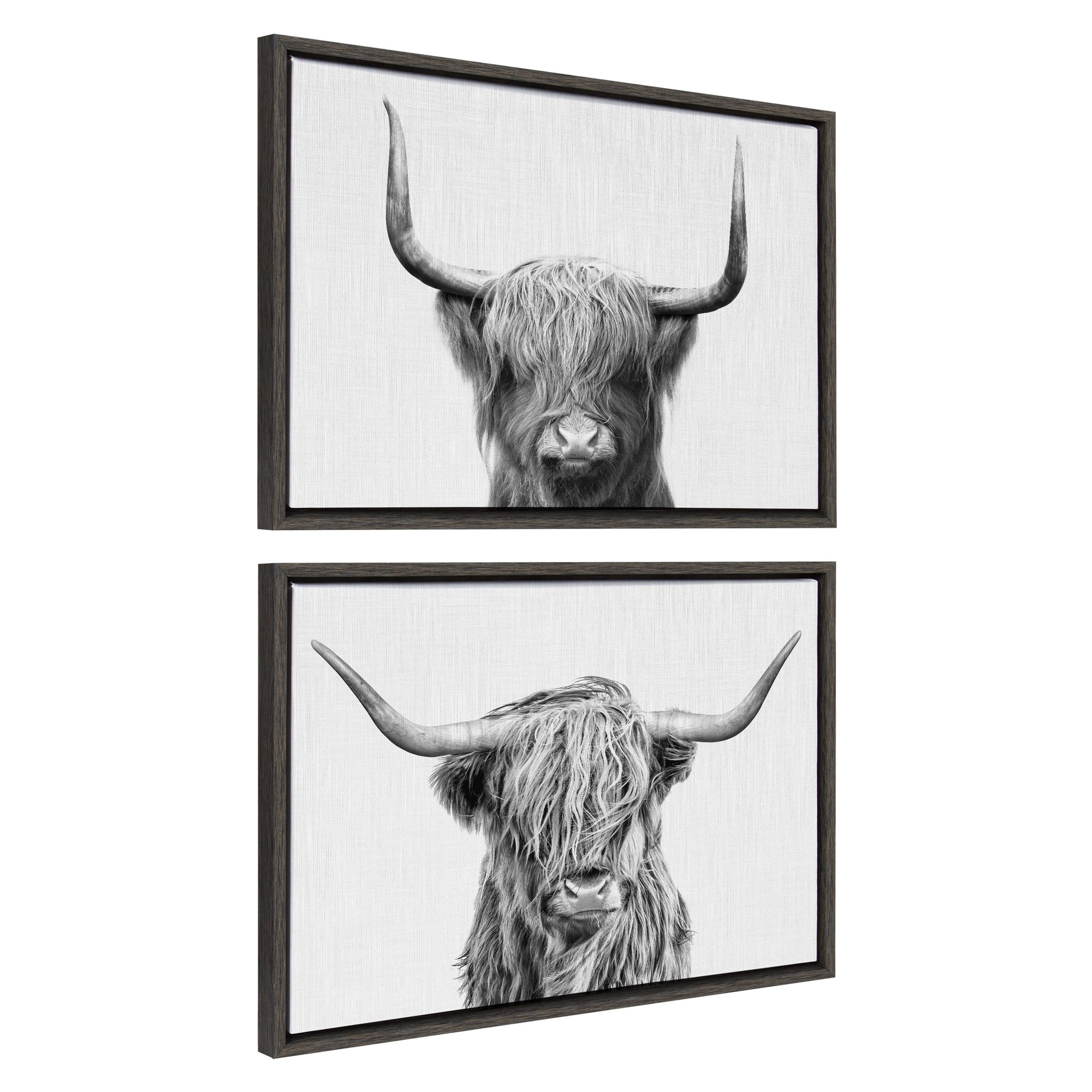 Sylvie Highland and Highland Cow 2 Framed Canvas by kateandlaurel - main product image for Resin Society