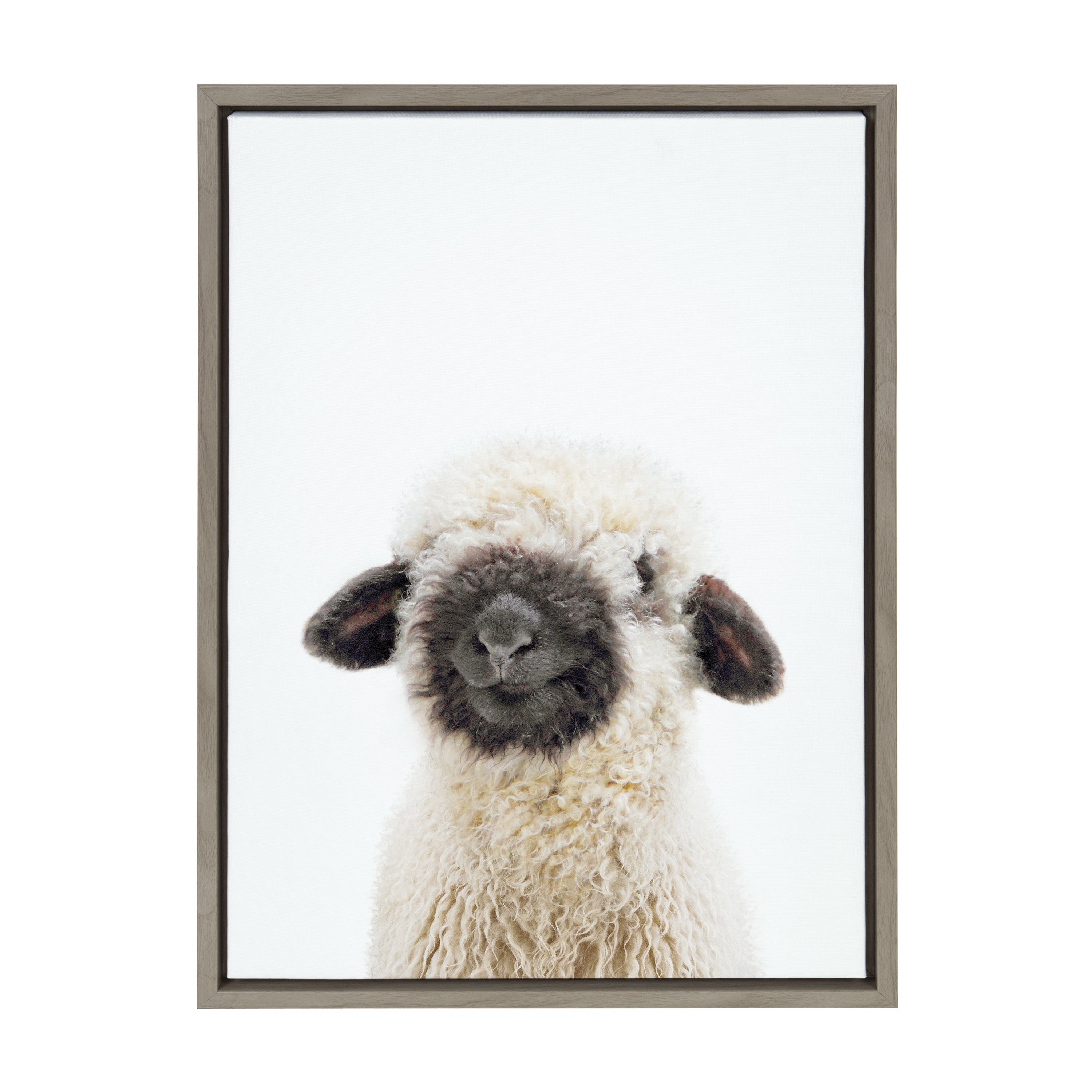 Sylvie Animal Studio Black Nosed Sheep Framed Canvas by Amy Peterson Art Studio