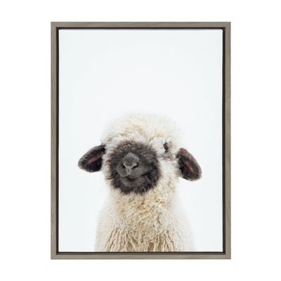 Sylvie Animal Studio Black Nosed Sheep Framed Canvas by Amy Peterson Art Studio