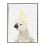 Sylvie Animal Studio Bird framed canvas art with gray frame hanging on wall