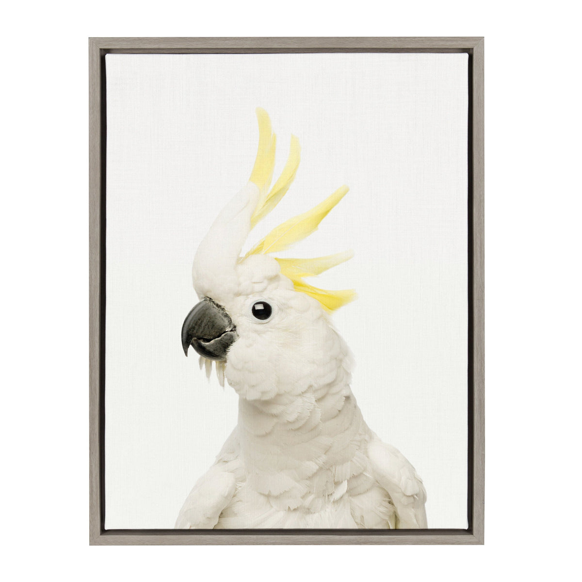 Sylvie Animal Studio Bird framed canvas art with gray frame hanging on wall