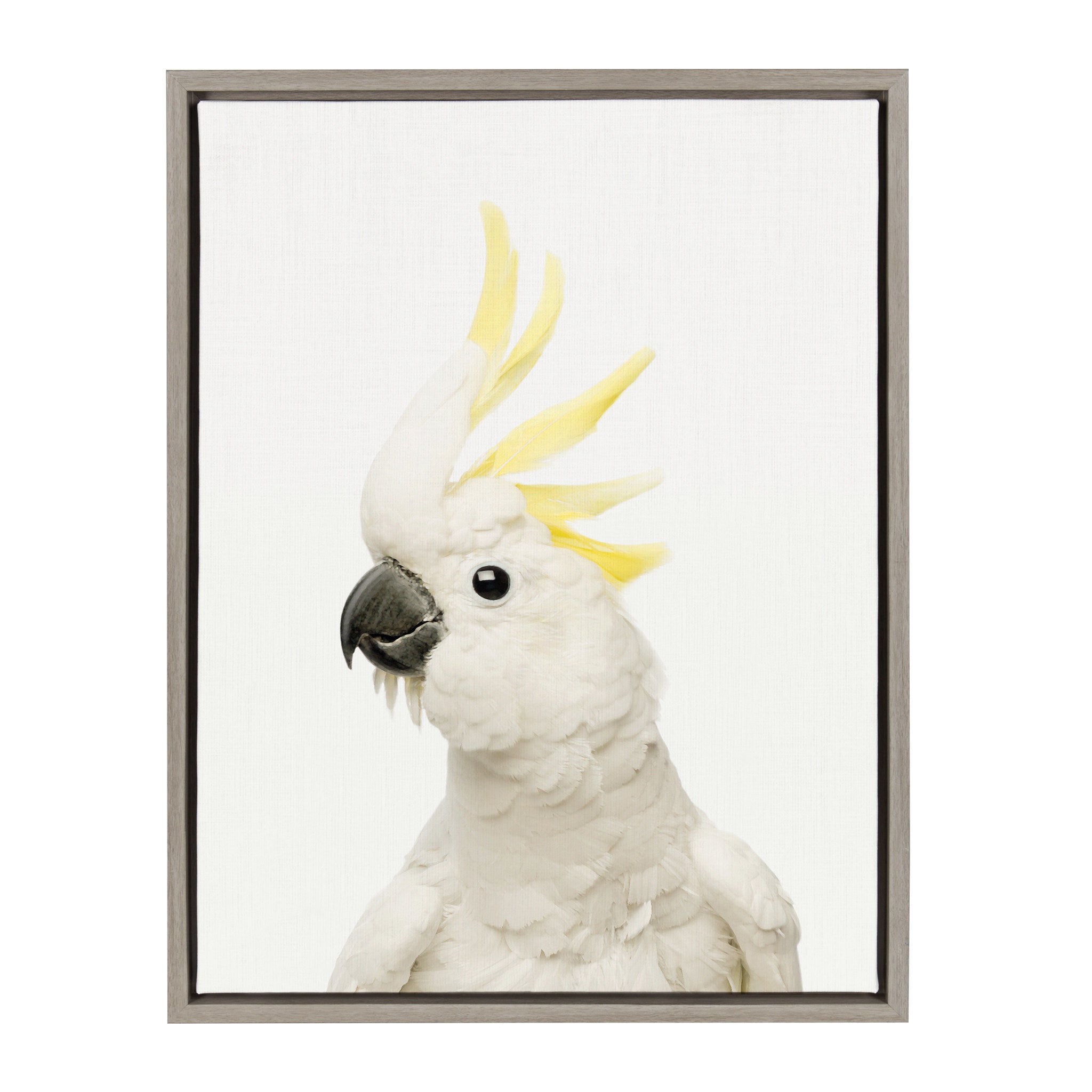 Sylvie Animal Studio Bird framed canvas art with gray frame hanging on wall