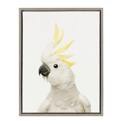 Sylvie Animal Studio Bird Framed Canvas by Amy Peterson Art Studio