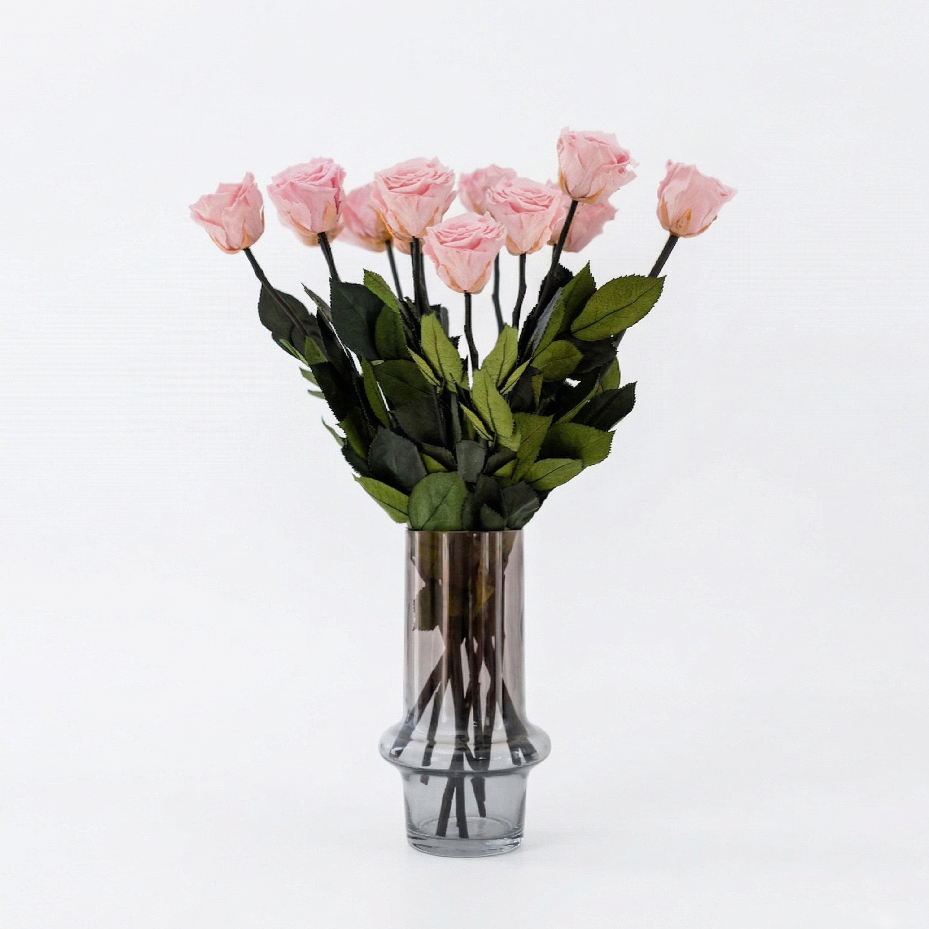 Single long stem light pink roses bundled together, showing lush buds and green foliage