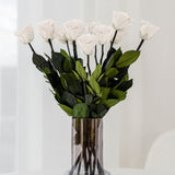 Long Stem Roses | White Roses