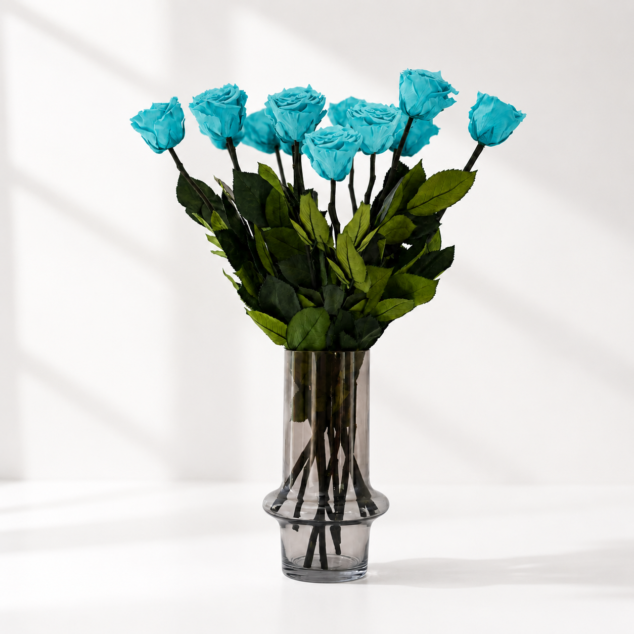 A dozen long stem turquoise blue preserved roses with about 20-inch stems