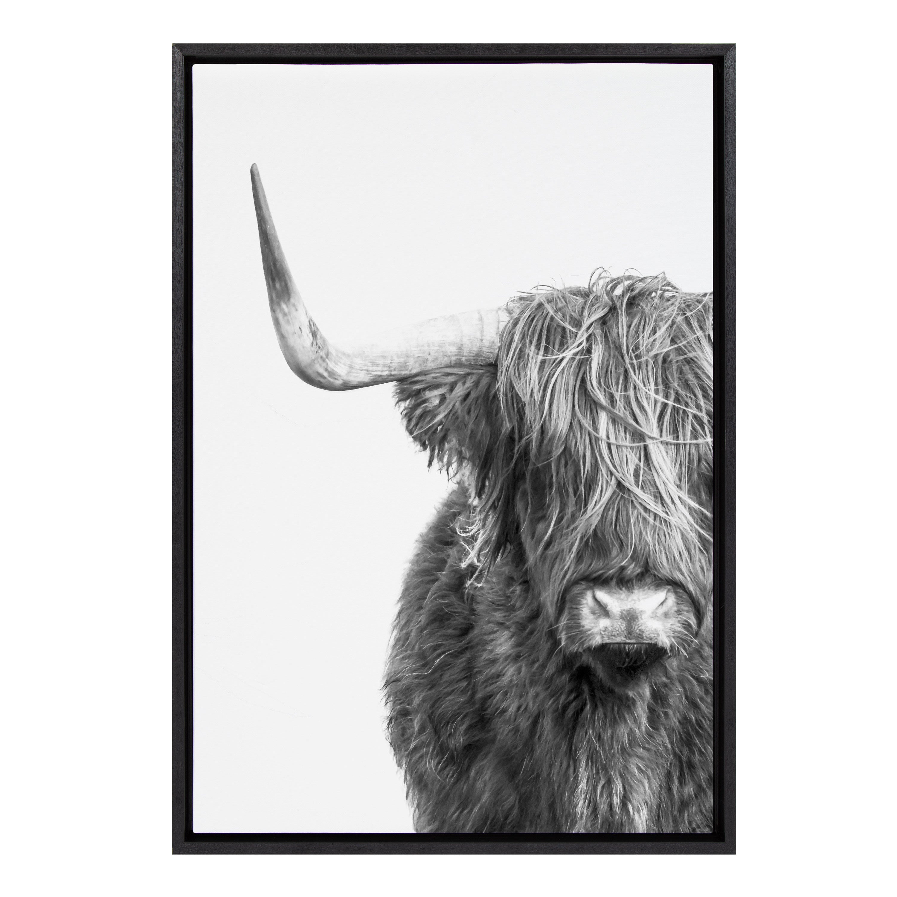 Sylvie B&W Highland Cow No. 1 Framed Canvas by Amy Peterson Art Studio