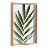 Blake Botanical 5F Framed Printed Glass by Amy Peterson by kateandlaurel - product image 13 for Resin Society