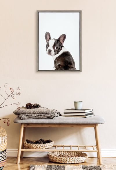 Sylvie Animal Studio French Bulldog Framed Canvas by Amy Peterson Art Studio