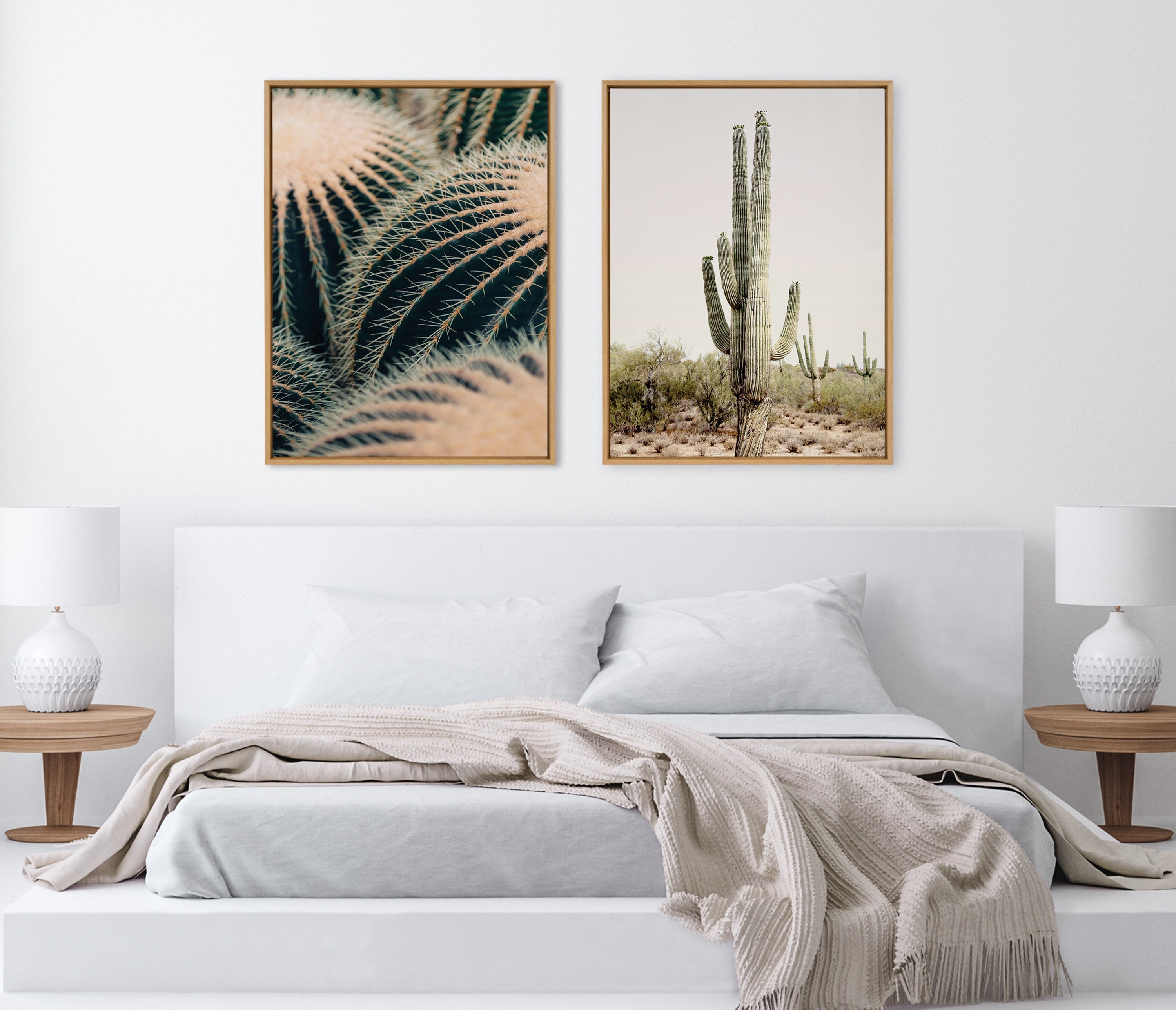Sylvie Barrel Cactus Framed Canvas by Alicia Bock