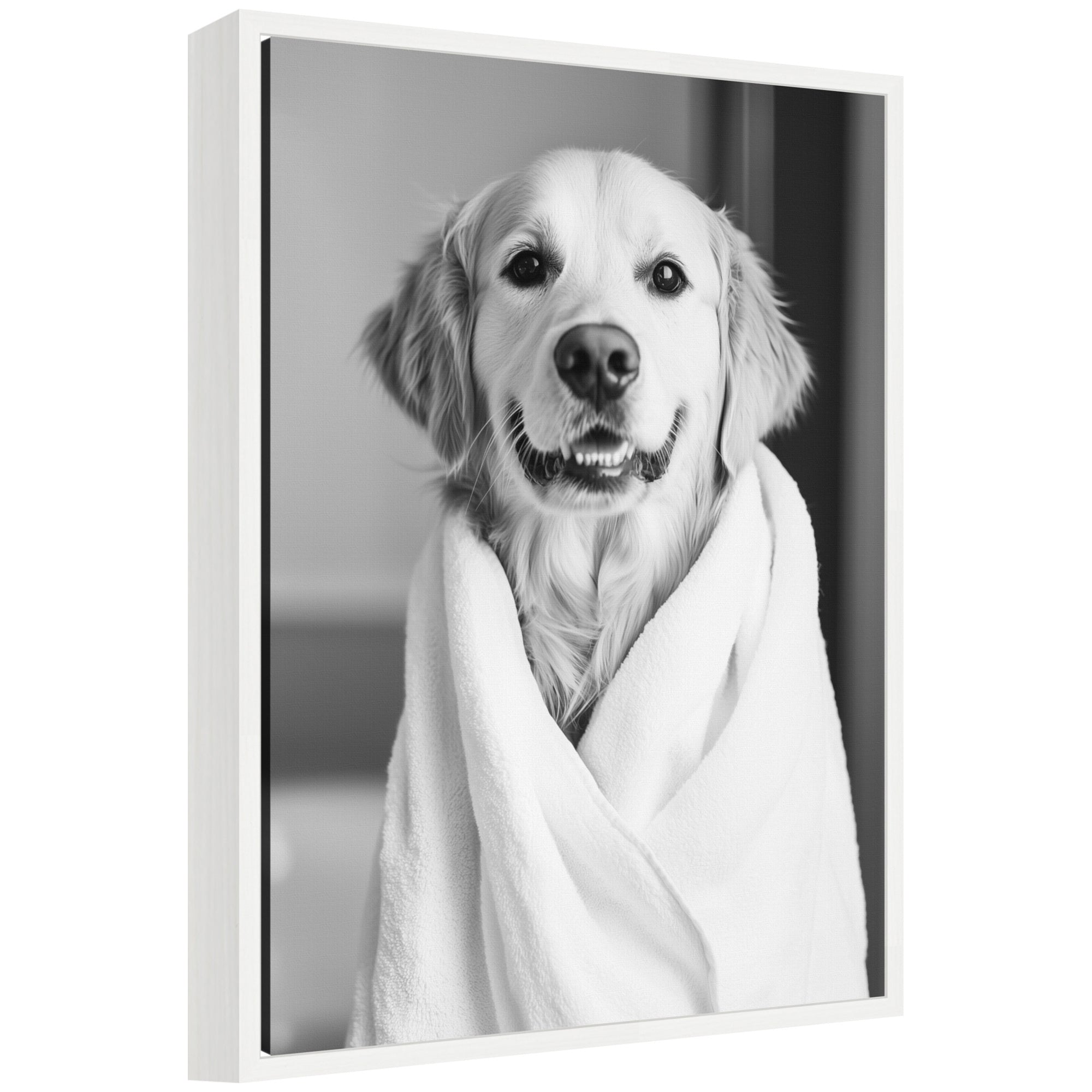 Black and white framed canvas art showing Golden Retriever wearing a bathroom towel robe