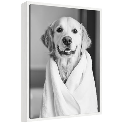 Black and white framed canvas art showing Golden Retriever wearing a bathroom towel robe