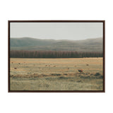 Framed canvas artwork depicting a wide open grassy field with scattered deer and elk, bordered by a dark forest line and gentle rolling hills under a pale sky.