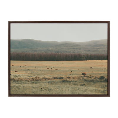 Sylvie AA On The Range Framed Canvas by Alicia Abla