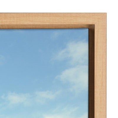 Sylvie To The Beach Framed Canvas by Matt Meyer by kateandlaurel - product image 11 for Resin Society