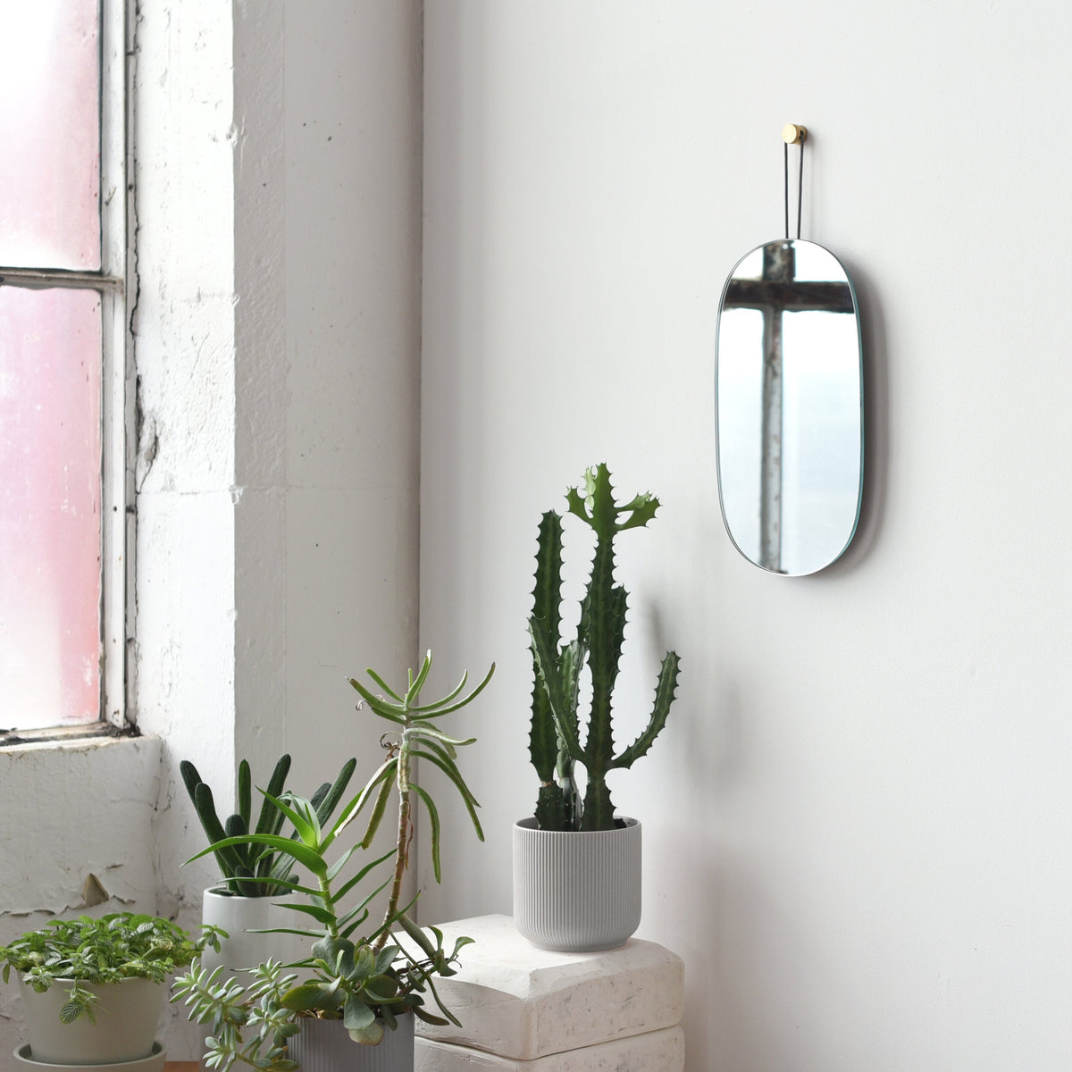 Vertical oval mirror with rounded corners hanging by a thin black strap with brass accent on a white wall, above a white pedestal holding a tall potted cactus and smaller potted plants below.