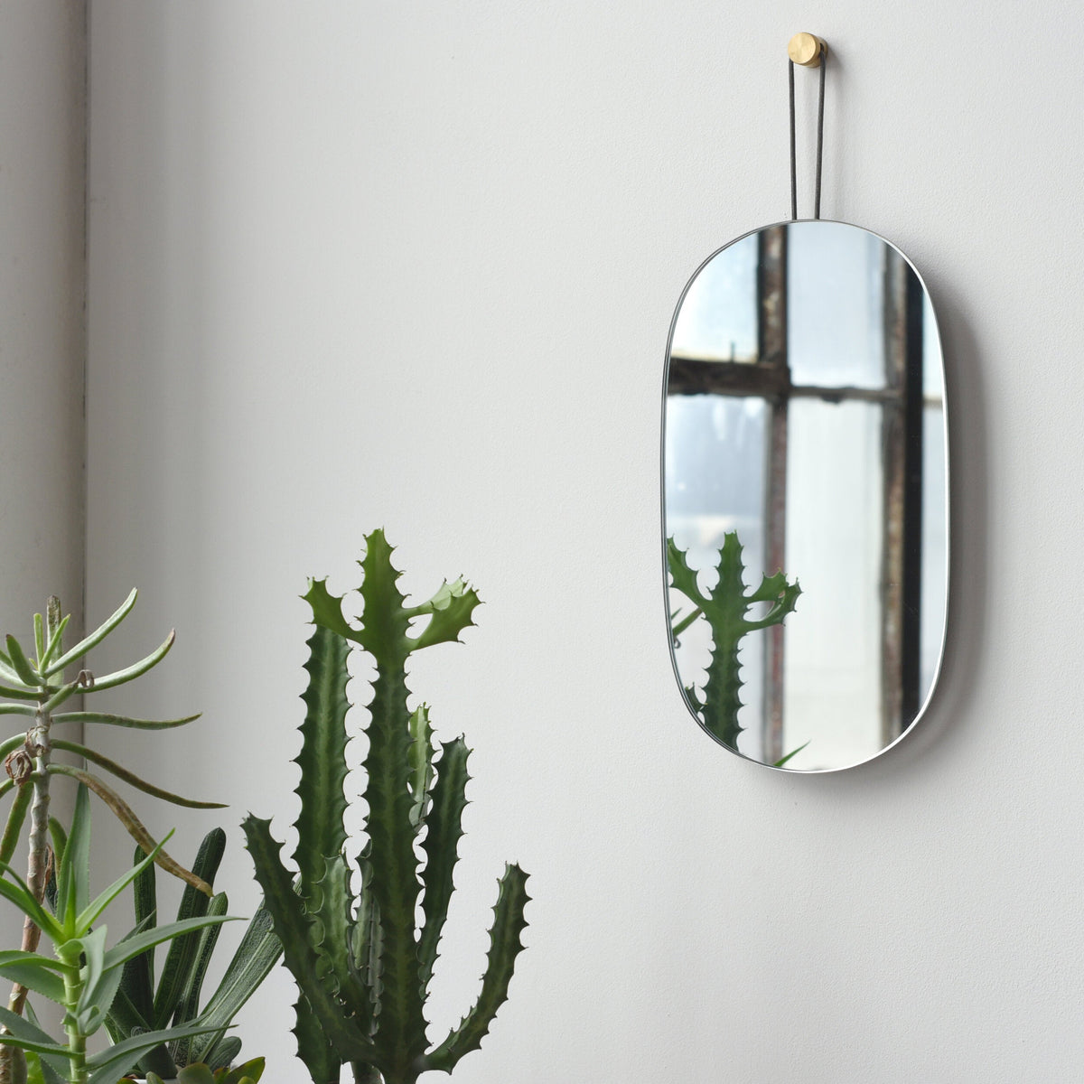 Oval frameless wall mirror hanging by a leather strap with a brass knob above, reflecting a window and a green cactus plant placed nearby against a white wall.
