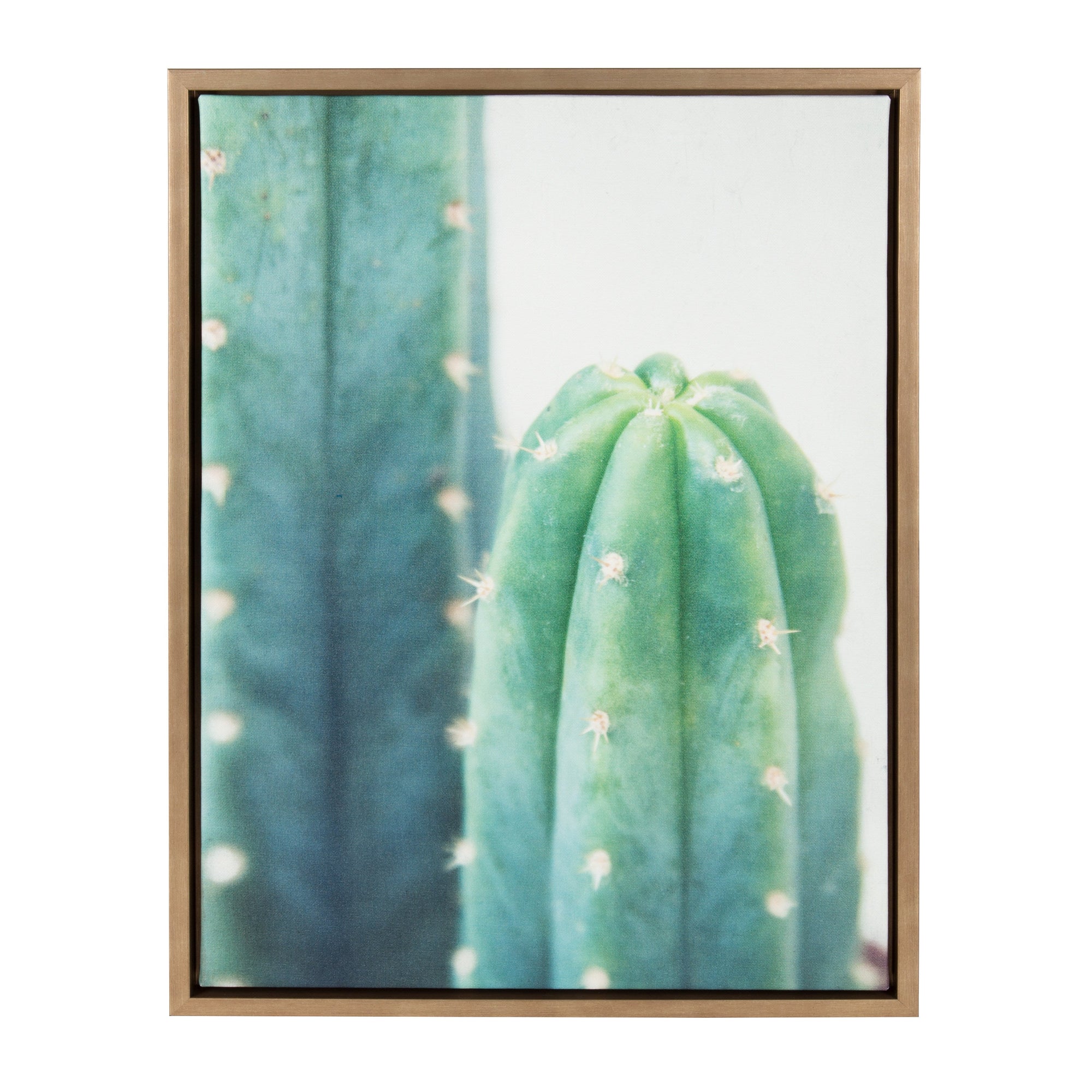 Sylvie Cactus Framed Canvas by kateandlaurel - product image 7 for Resin Society