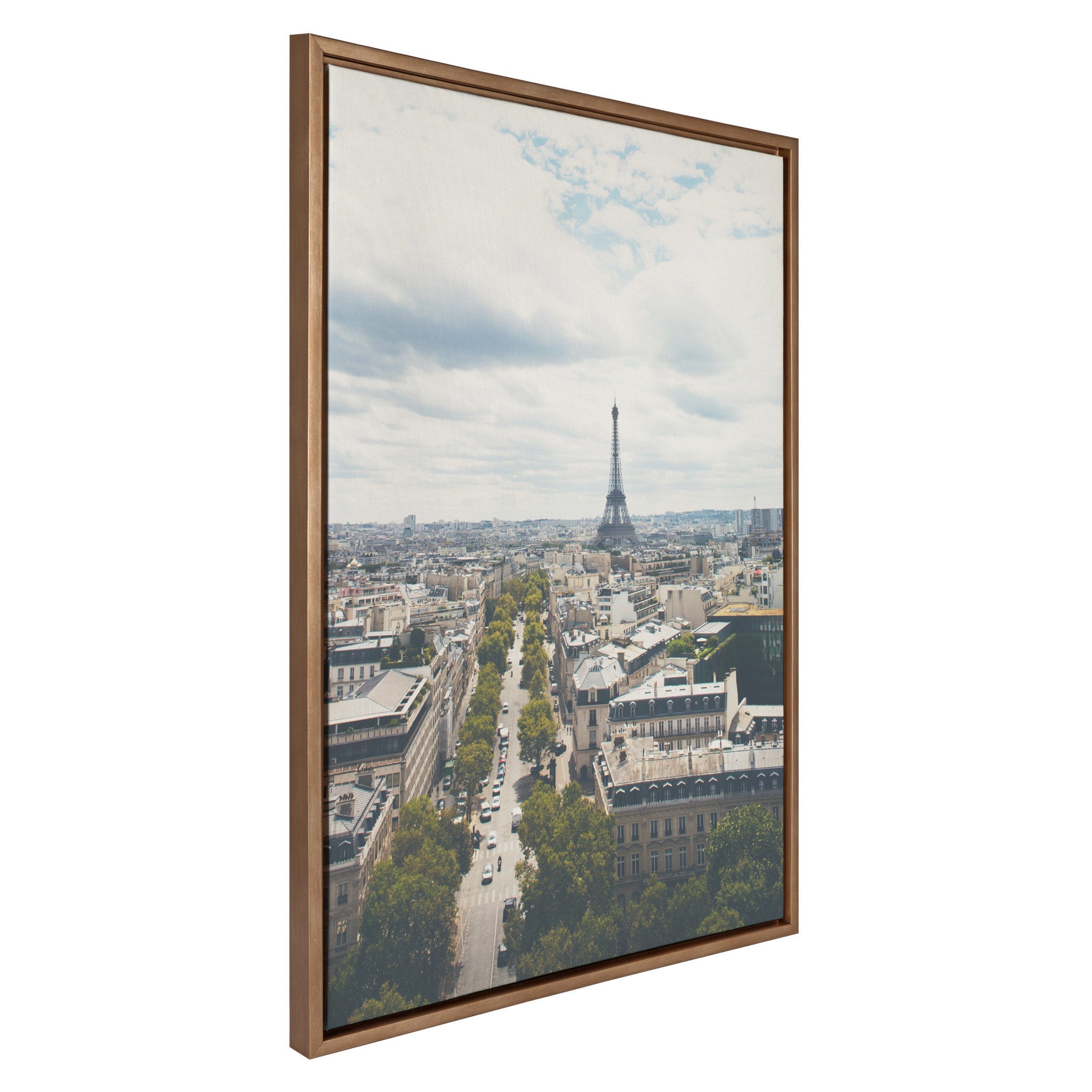 Sylvie France Framed Canvas by Laura Evans by kateandlaurel - product image 2 for Resin Society