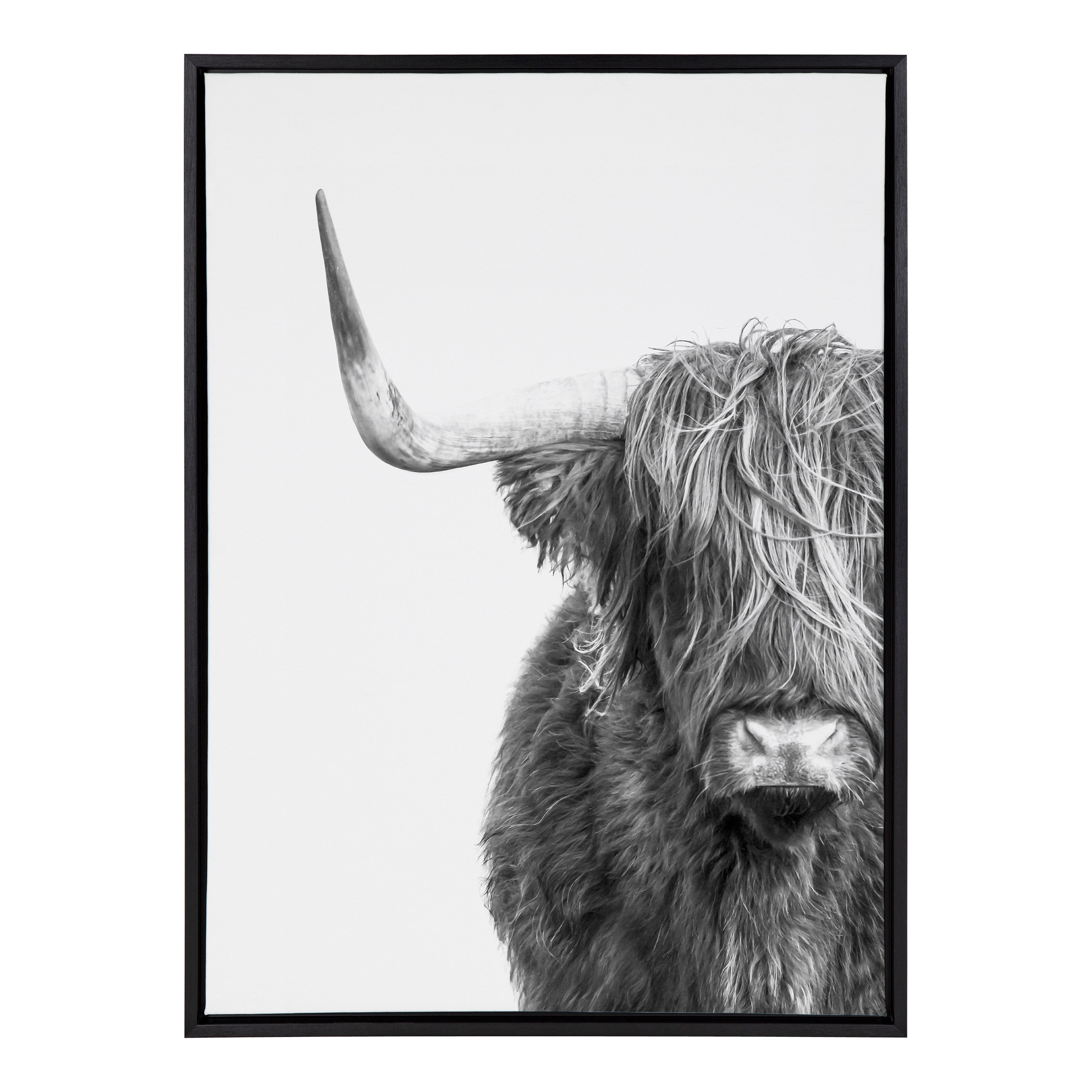 Sylvie B&W Highland Cow No. 1 Framed Canvas by Amy Peterson Art Studio