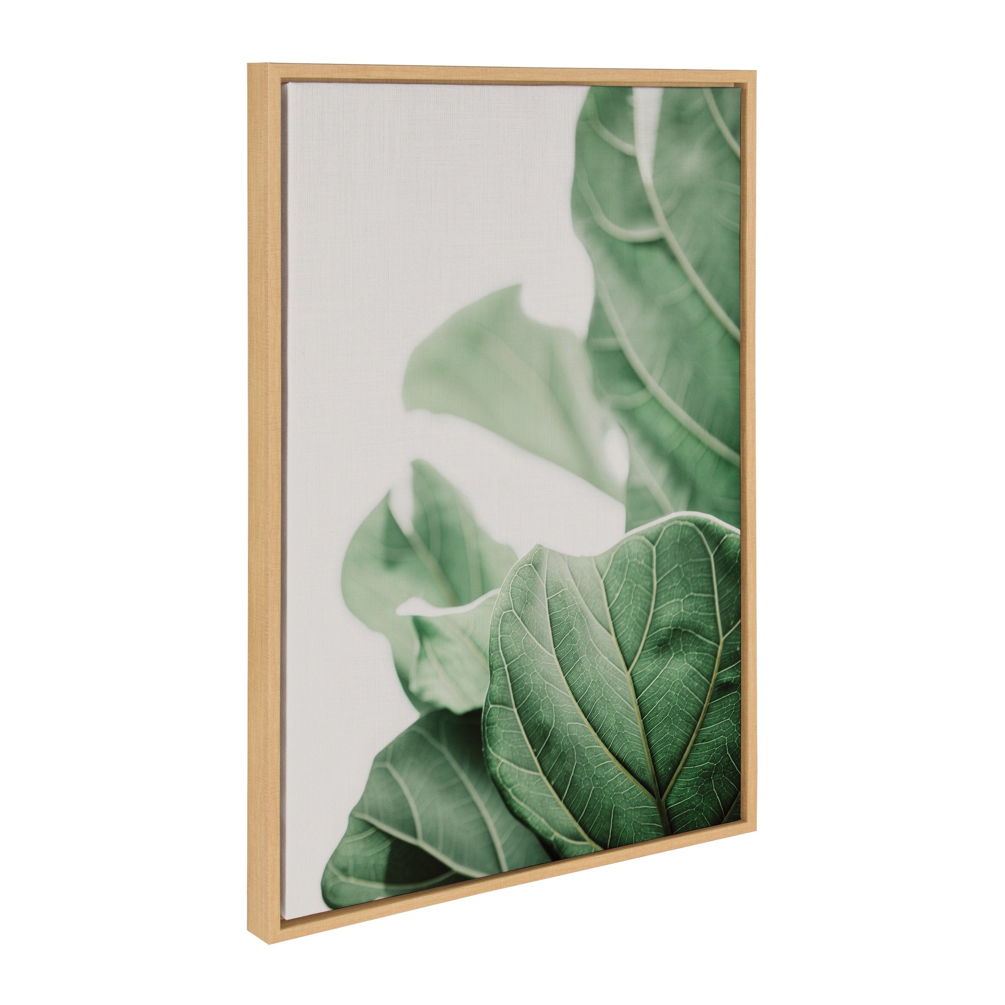 Sylvie Plant Study 7 Framed Canvas by kateandlaurel - main product image for Resin Society