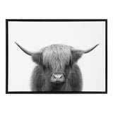 Black and white framed canvas showing a Highland cow facing forward with long curved horns and shaggy hair covering its eyes centered on a plain white background.