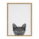 Black kitten with wide eyes peeking up from bottom edge against plain white background, framed in natural wood.