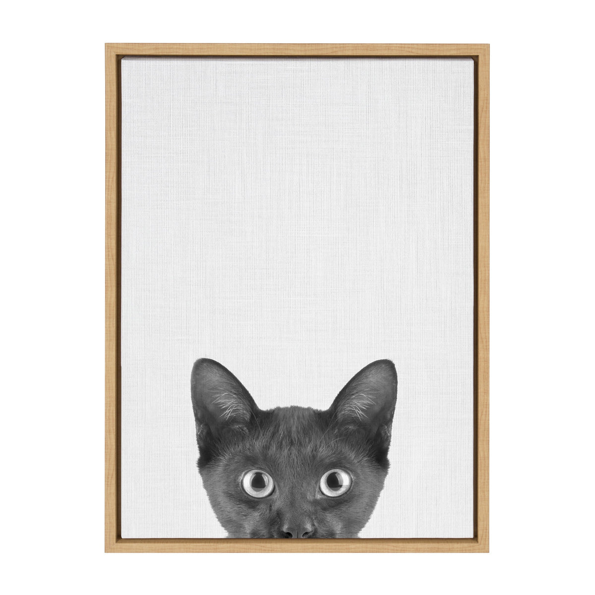 Black kitten with wide eyes peeking up from bottom edge against plain white background, framed in natural wood.