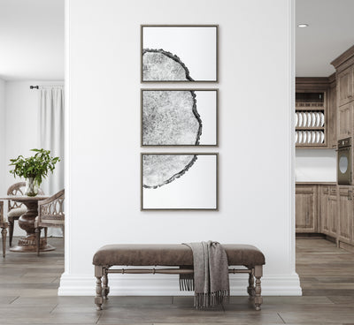 Sylvie Tree Rings Set Framed Canvas by kateandlaurel - product image 11 for Resin Society