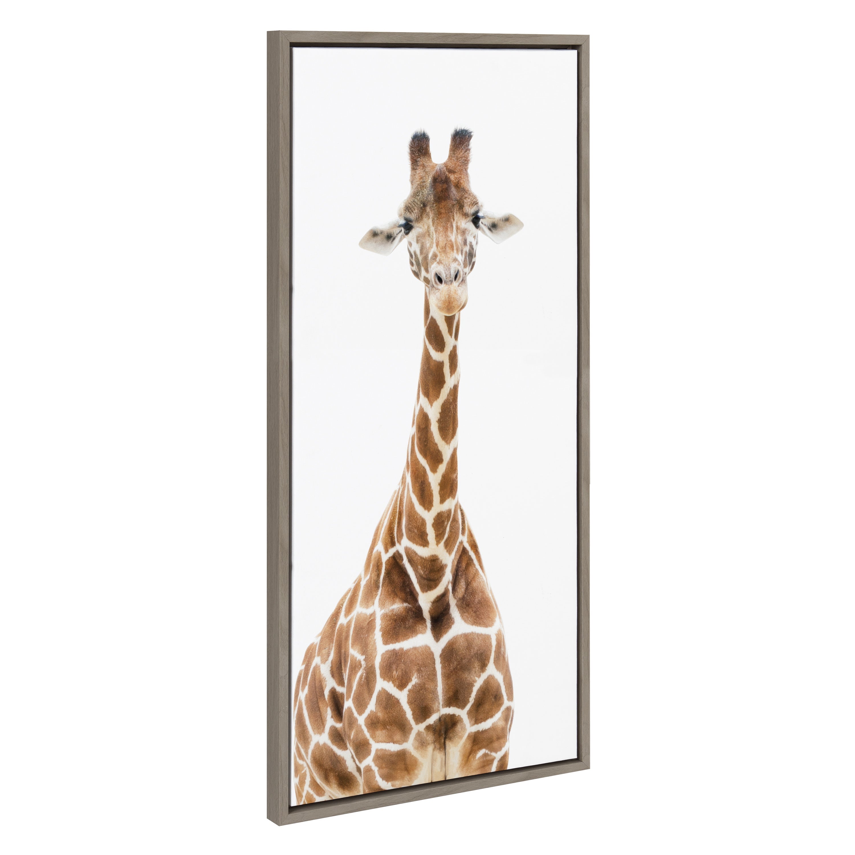 Sylvie Standing Giraffe framed canvas art showing a giraffe against a muted textured background with a simple modern frame