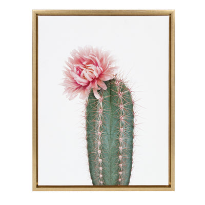 Sylvie Pink Cactus Flower Framed Canvas by Amy Peterson Art Studio