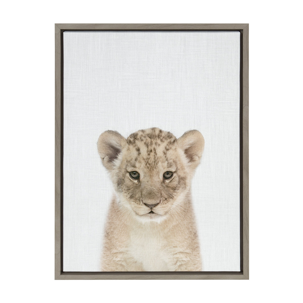 Sylvie Baby Lion Color Framed Canvas by kateandlaurel - product image 2 for Resin Society
