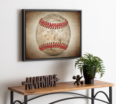 Sylvie Vintage Hardball Framed Canvas by kateandlaurel - product image 7 for Resin Society