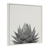 Sylvie Haze Aloe Succulent Framed Canvas by The Creative Bunch Studio by kateandlaurel - product image 2 for Resin Society