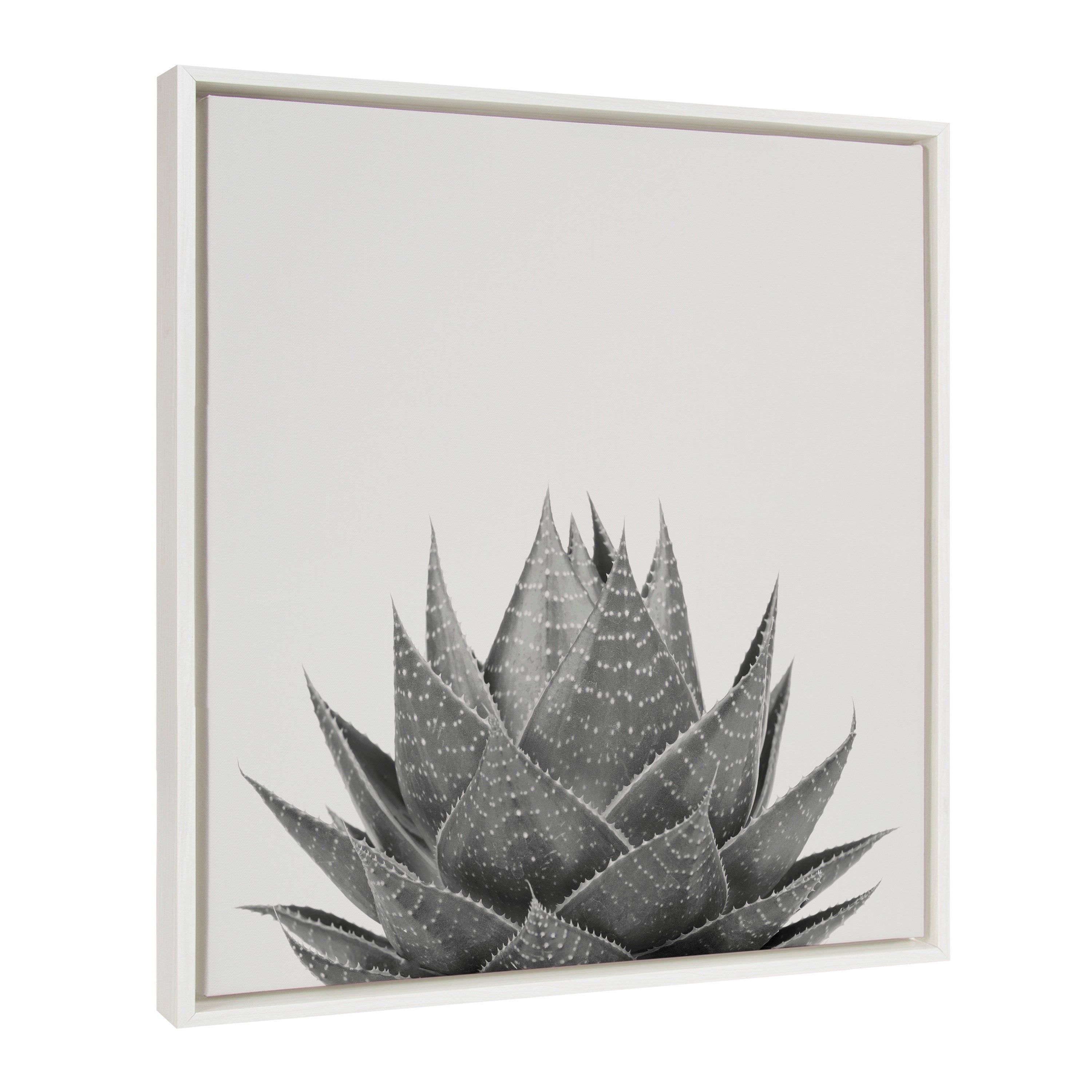 Sylvie Haze Aloe Succulent Framed Canvas by The Creative Bunch Studio by kateandlaurel - product image 2 for Resin Society