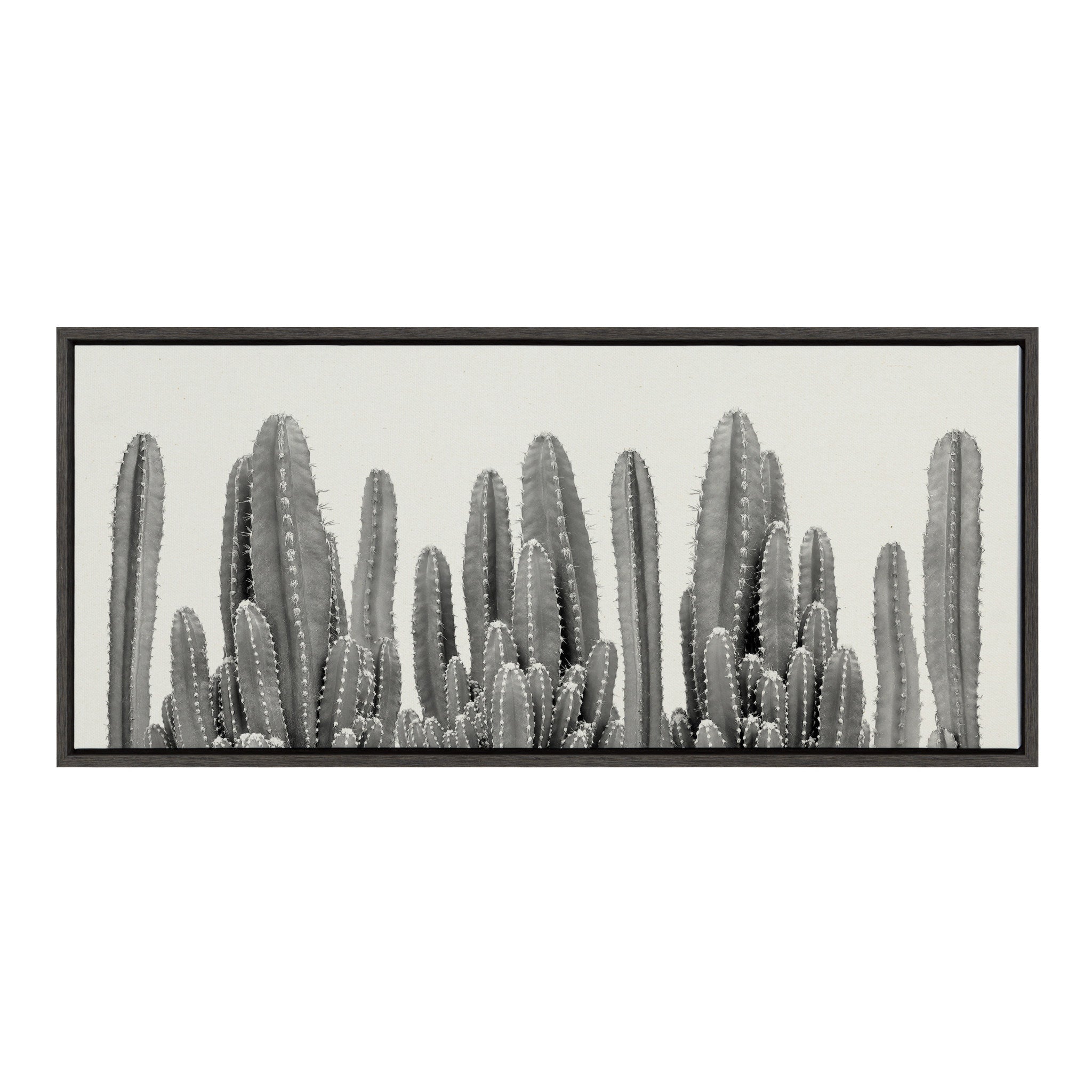 Sylvie Looking Sharp Cactus Garden Framed Canvas by The Creative Bunch by kateandlaurel - main product image for Resin Society