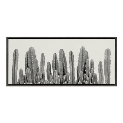 Sylvie Looking Sharp Cactus Garden Framed Canvas by The Creative Bunch by kateandlaurel - main product image for Resin Society