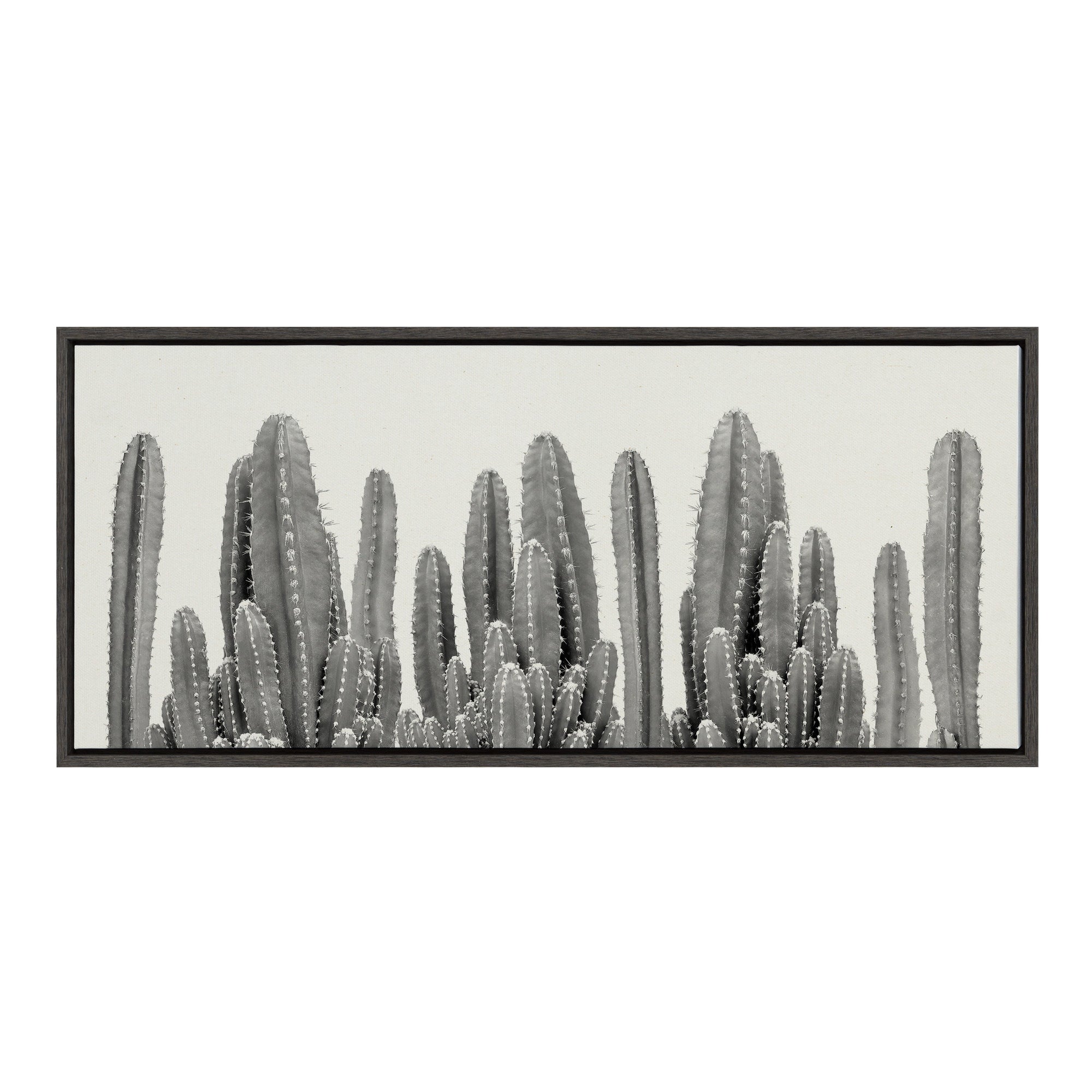 Sylvie Looking Sharp Cactus Garden Framed Canvas by The Creative Bunch by kateandlaurel - product image 7 for Resin Society