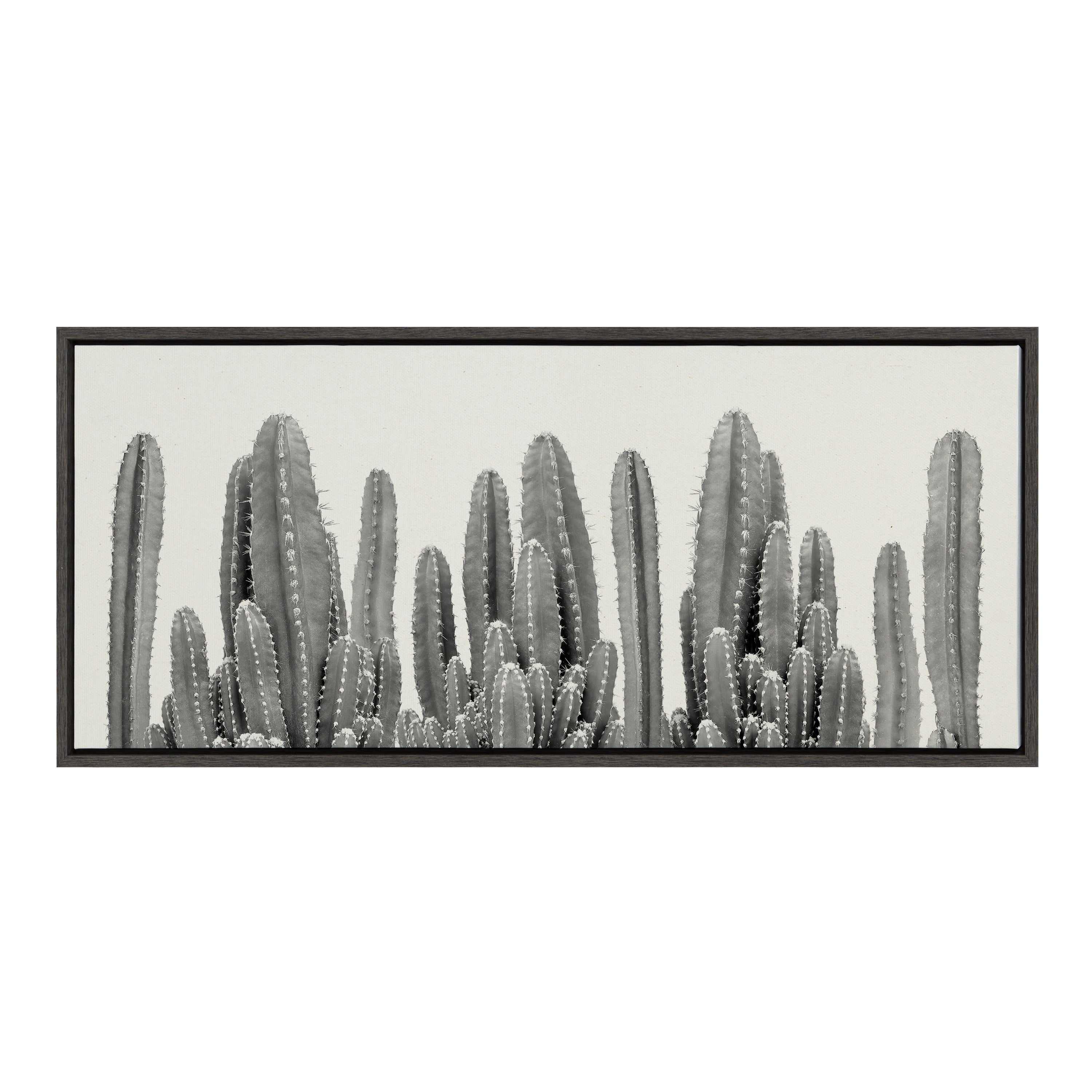Sylvie Looking Sharp Cactus Garden Framed Canvas by The Creative Bunch by kateandlaurel - product image 7 for Resin Society