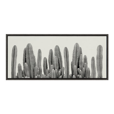 Sylvie Looking Sharp Cactus Garden Framed Canvas by The Creative Bunch by kateandlaurel - product image 7 for Resin Society